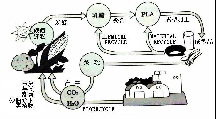 可生物降解環(huán)保塑料可以回收再利用嗎？(圖4)